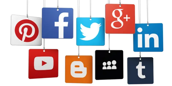 wp-header-logo-313.png